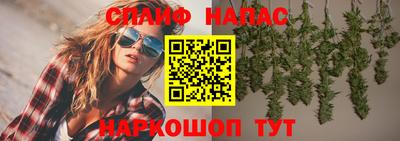 гашик Абинск