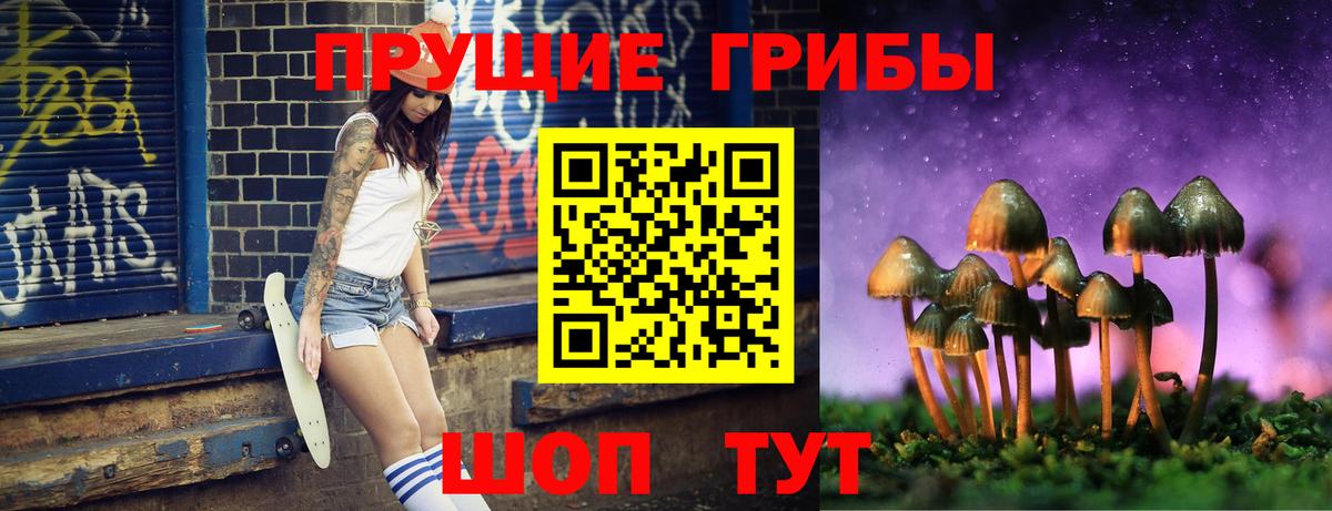Алейск  Псилоцибиновые грибы Psilocybe  Вход с VPN  Галлюциногенные грибы ЛСД 