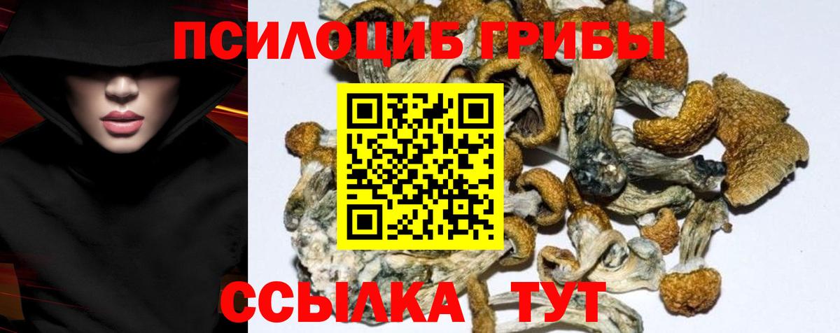 Псилоцибиновые грибы прущие грибы Алейск