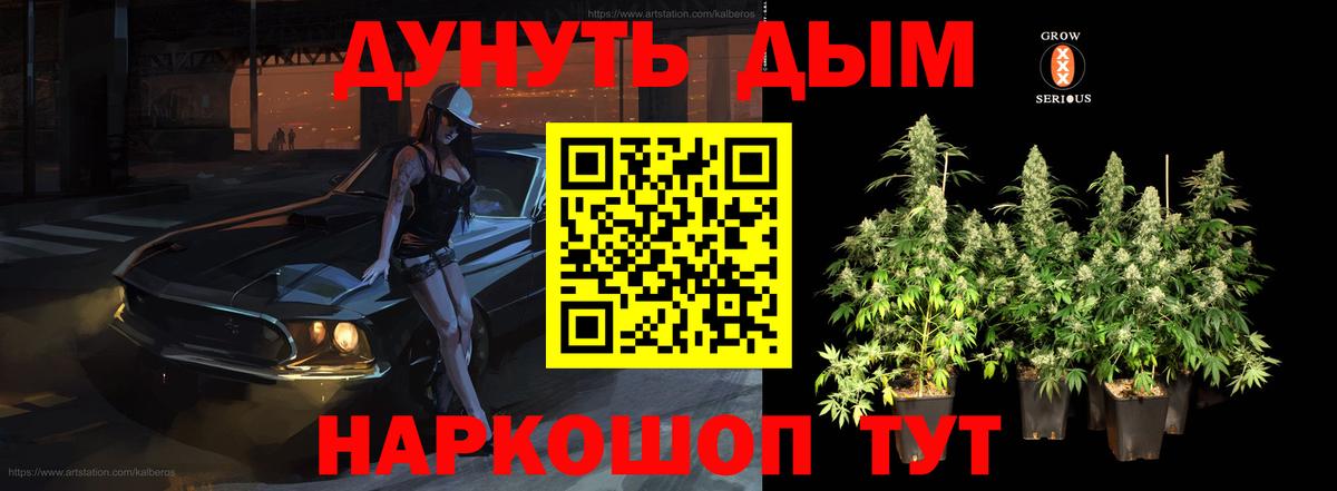 Канабис OG Kush Алейск